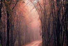 [NBA]莫布利21分 骑士轻取开拓者.