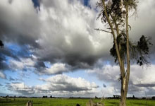 乐天堂：世界冠军肖若腾，已任北京先农坛体校副校长北京日报微信公众号.