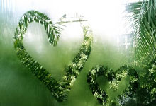 对阵日本球队被打得没有还手之力 海港问题在哪里.