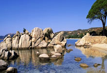 前瞻｜浙江5-0深圳新鹏城：为国养士！浙江王钰栋等国脚能稳定出场.